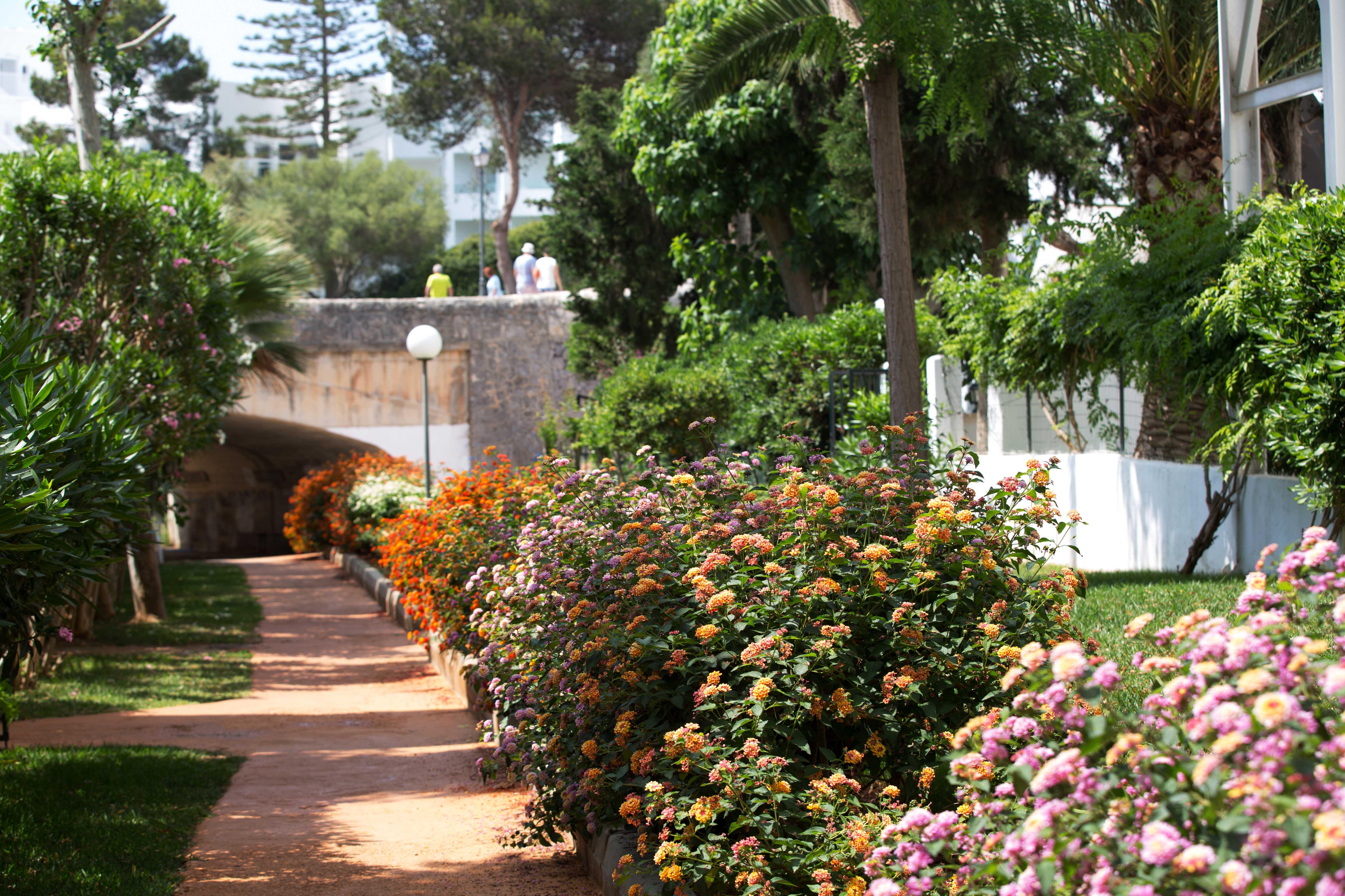 Gavimar Cala Gran Hotel And Apartments Cala D´Or エクステリア 写真