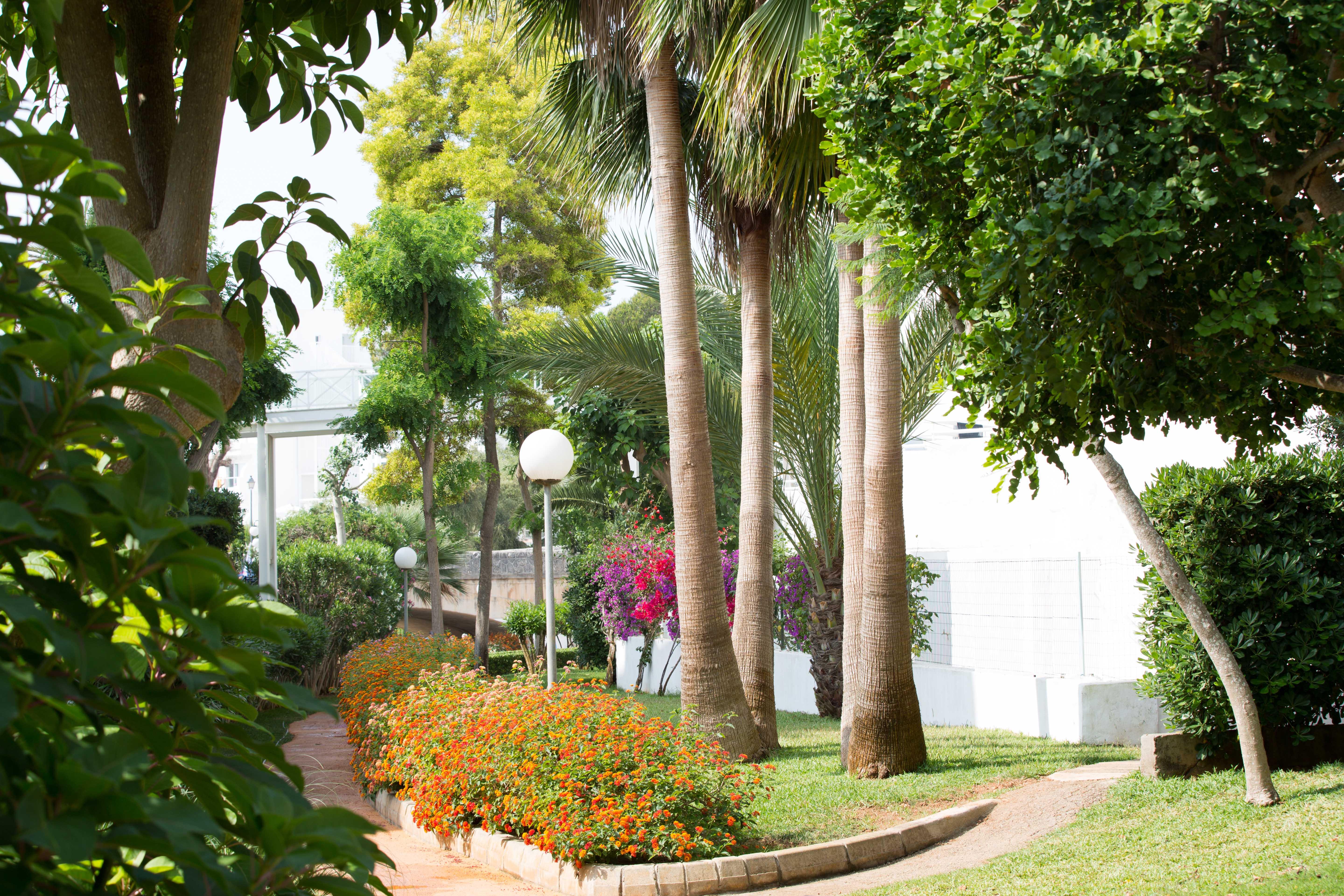 Gavimar Cala Gran Hotel And Apartments Cala D´Or エクステリア 写真