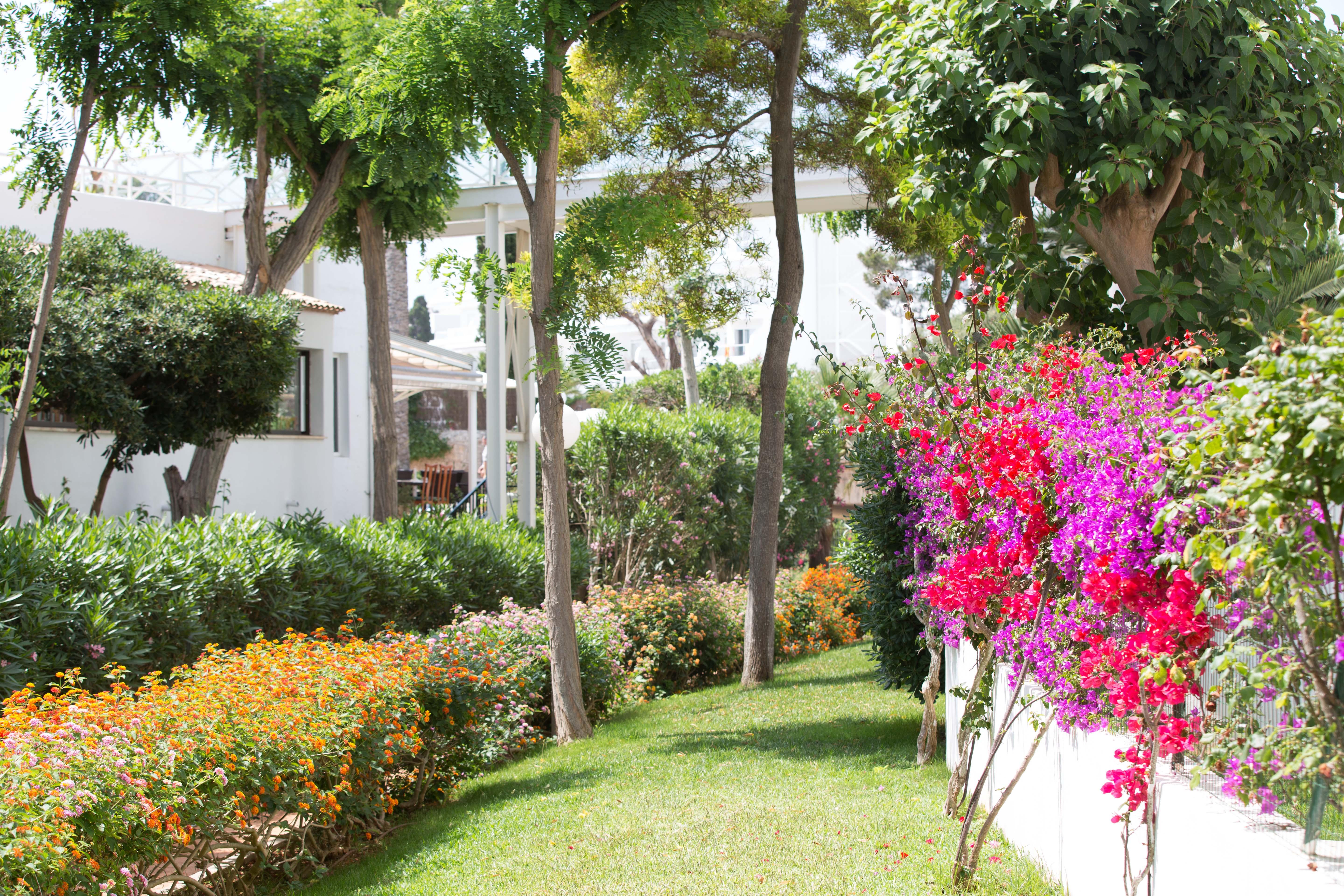 Gavimar Cala Gran Hotel And Apartments Cala D´Or エクステリア 写真