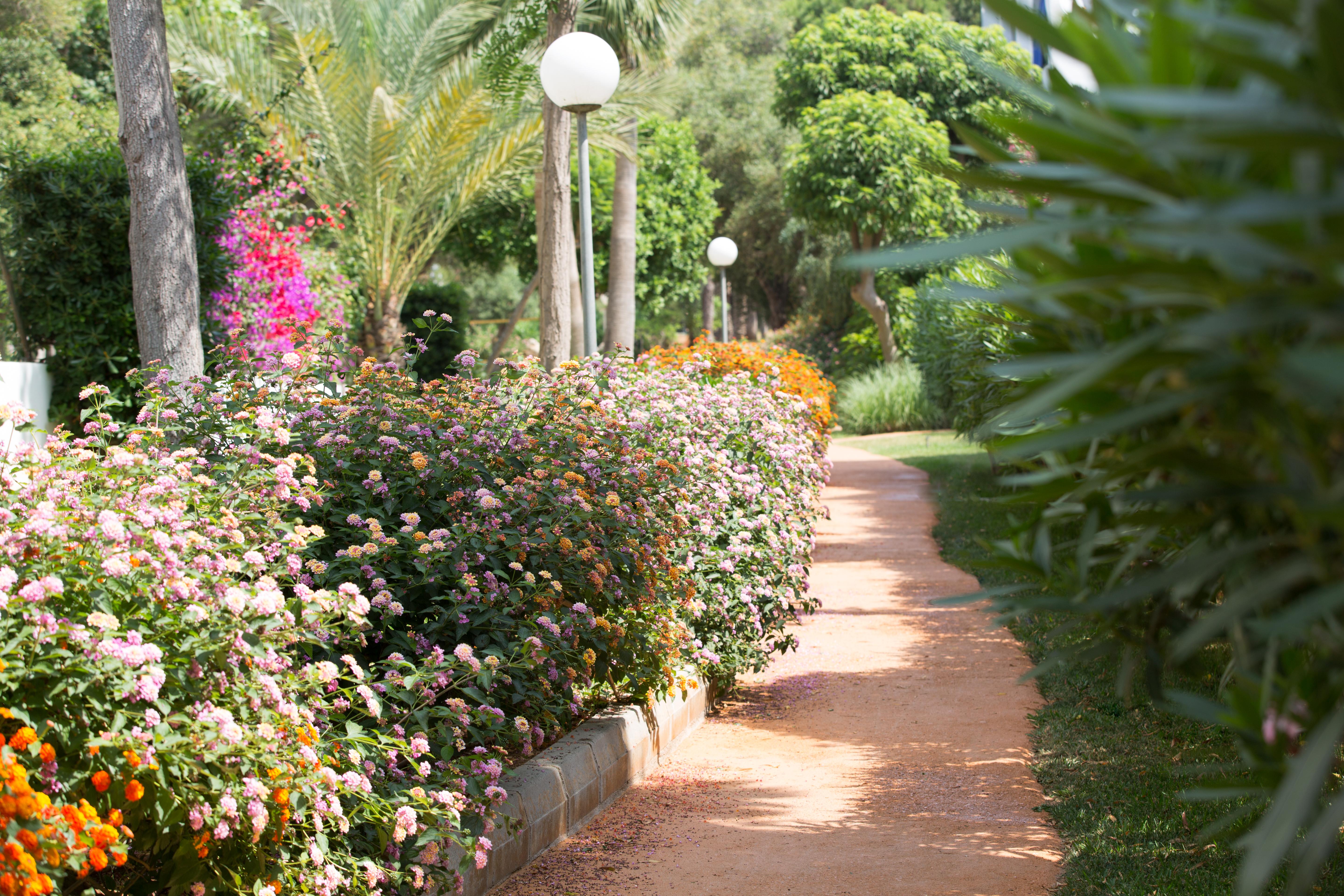 Gavimar Cala Gran Hotel And Apartments Cala D´Or エクステリア 写真
